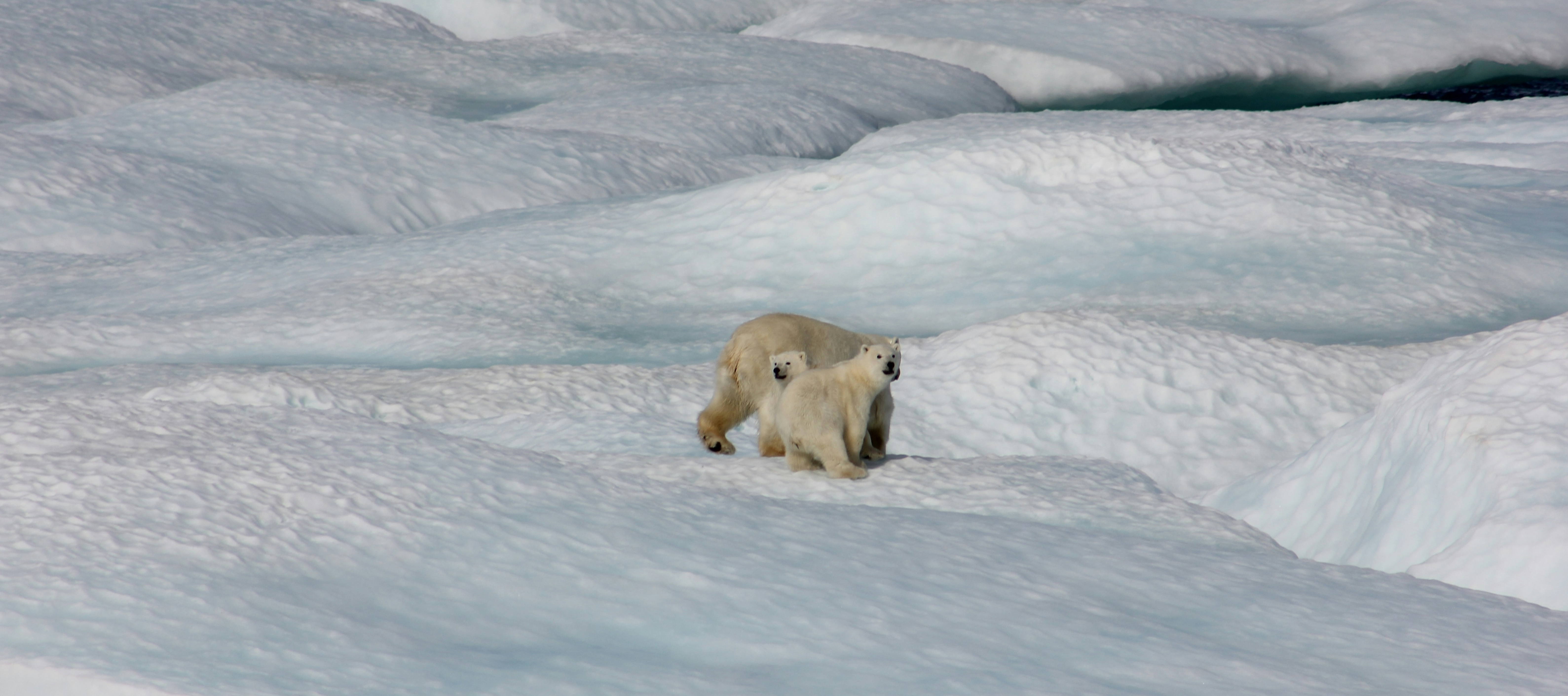 usad26号 朗豪si_15 6.jpg